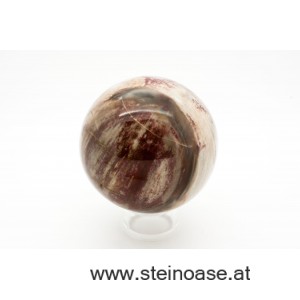 Holz versteinert Kugel 65mm